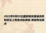 2022年9月01日最新相关报道消息 和田玉上有黑点的原因 原因有这两点