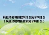 疯狂动物城狐狸叫什么兔子叫什么（疯狂动物城狐狸和兔子叫什么）