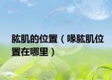 肱肌的位置（喙肱肌位置在哪里）