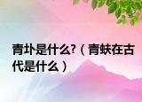 青圤是什么?（青蚨在古代是什么）