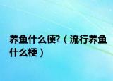 养鱼什么梗?（流行养鱼什么梗）