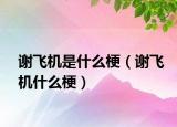 谢飞机是什么梗（谢飞机什么梗）