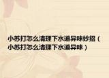 小苏打怎么清理下水道异味妙招（小苏打怎么清理下水道异味）