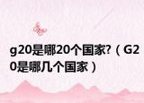g20是哪20个国家?（G20是哪几个国家）