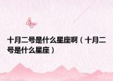 十月二号是什么星座啊（十月二号是什么星座）