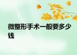 微整形手术一般要多少钱