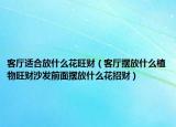 客厅适合放什么花旺财（客厅摆放什么植物旺财沙发前面摆放什么花招财）