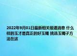 2022年9月01日最新相关报道消息 什么样的玉才是真正的好玉镯 挑选玉镯子方法在这