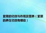 紫菜的功效与作用及营养（紫菜的养生功效有哪些）