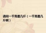 请问一千克是几斤（一千克是几斤啊）