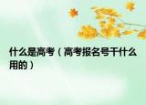 什么是高考（高考报名号干什么用的）