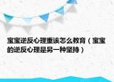 宝宝逆反心理重该怎么教育（宝宝的逆反心理是另一种坚持）