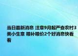 当日最新消息 注意9月起严查农村3类小生意 粮补粮价2个好消息快看看