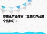 夏黑比巨峰便宜（夏黑和巨峰哪个品种好）