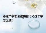 沁这个字怎么读拼音（沁这个字怎么读）