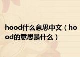 hood什么意思中文（hood的意思是什么）