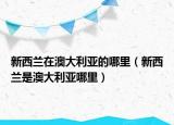 新西兰在澳大利亚的哪里（新西兰是澳大利亚哪里）