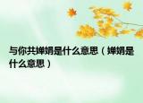 与你共婵娟是什么意思（婵娟是什么意思）