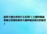 蔬菜大棚注意些什么东西?（大棚种植蔬菜要注意哪些事项大棚种植瓜果注意事项）
