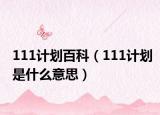 111计划百科（111计划是什么意思）