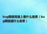 bug网络用语上是什么意思（bug网络语什么意思）