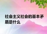 社会主义社会的基本矛盾是什么