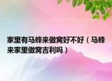 家里有马蜂来做窝好不好（马蜂来家里做窝吉利吗）