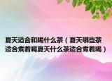 夏天适合和喝什么茶（夏天哪些茶适合煮着喝夏天什么茶适合煮着喝）