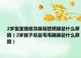 2岁宝宝情绪急躁易怒烦躁是什么原因（2岁孩子总是毛毛躁躁是什么原因）