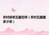 农村排辈五服怎样（农村五服是多少辈）