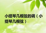 小提琴几根弦的调（小提琴几根弦）