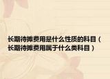 长期待摊费用是什么性质的科目（长期待摊费用属于什么类科目）