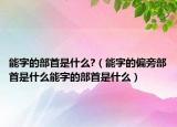 能字的部首是什么?（能字的偏旁部首是什么能字的部首是什么）