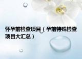怀孕前检查项目（孕前特殊检查项目大汇总）