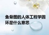 鱼骨图的人体工程学圆环是什么意思