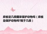 麻雀是几级国家保护动物吗（麻雀是保护动物吗?属于几级）