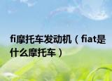 fi摩托车发动机（fiat是什么摩托车）