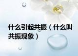 什么引起共振（什么叫共振现象）
