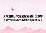 大气泡和小气泡的区别是什么意思（大气泡和小气泡的区别是什么）