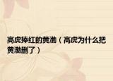 高虎捧红的黄渤（高虎为什么把黄渤删了）