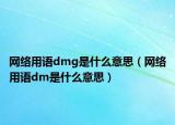 网络用语dmg是什么意思（网络用语dm是什么意思）