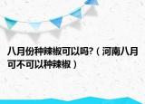 八月份种辣椒可以吗?（河南八月可不可以种辣椒）