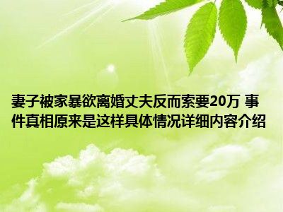 妻子被家暴欲离婚丈夫反而索要20万 事件真相原来是这样具体情况详细内容介绍