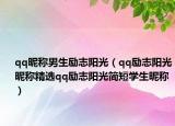 qq昵称男生励志阳光（qq励志阳光昵称精选qq励志阳光简短学生昵称）