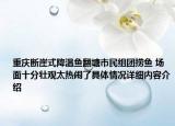 重庆断崖式降温鱼翻塘市民组团捞鱼 场面十分壮观太热闹了具体情况详细内容介绍