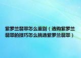 紫罗兰翡翠怎么鉴别（选购紫罗兰翡翠的技巧怎么挑选紫罗兰翡翠）