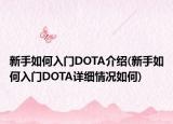 新手如何入门DOTA介绍(新手如何入门DOTA详细情况如何)