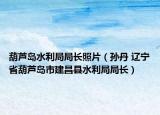 葫芦岛水利局局长照片（孙丹 辽宁省葫芦岛市建昌县水利局局长）