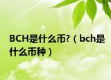 BCH是什么币?（bch是什么币种）