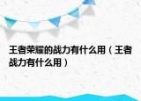 王者荣耀的战力有什么用（王者战力有什么用）